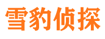 青羊市侦探调查公司